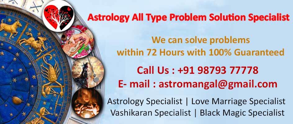 astrologer in india