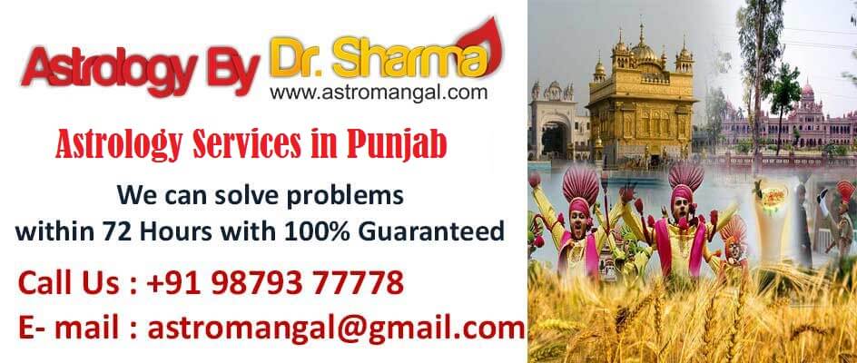 astrology services in punjab