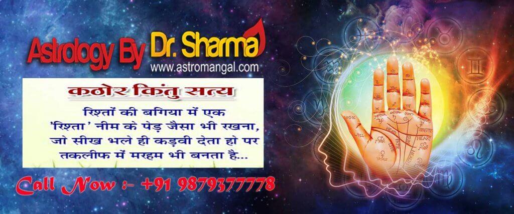 best indian astrologer